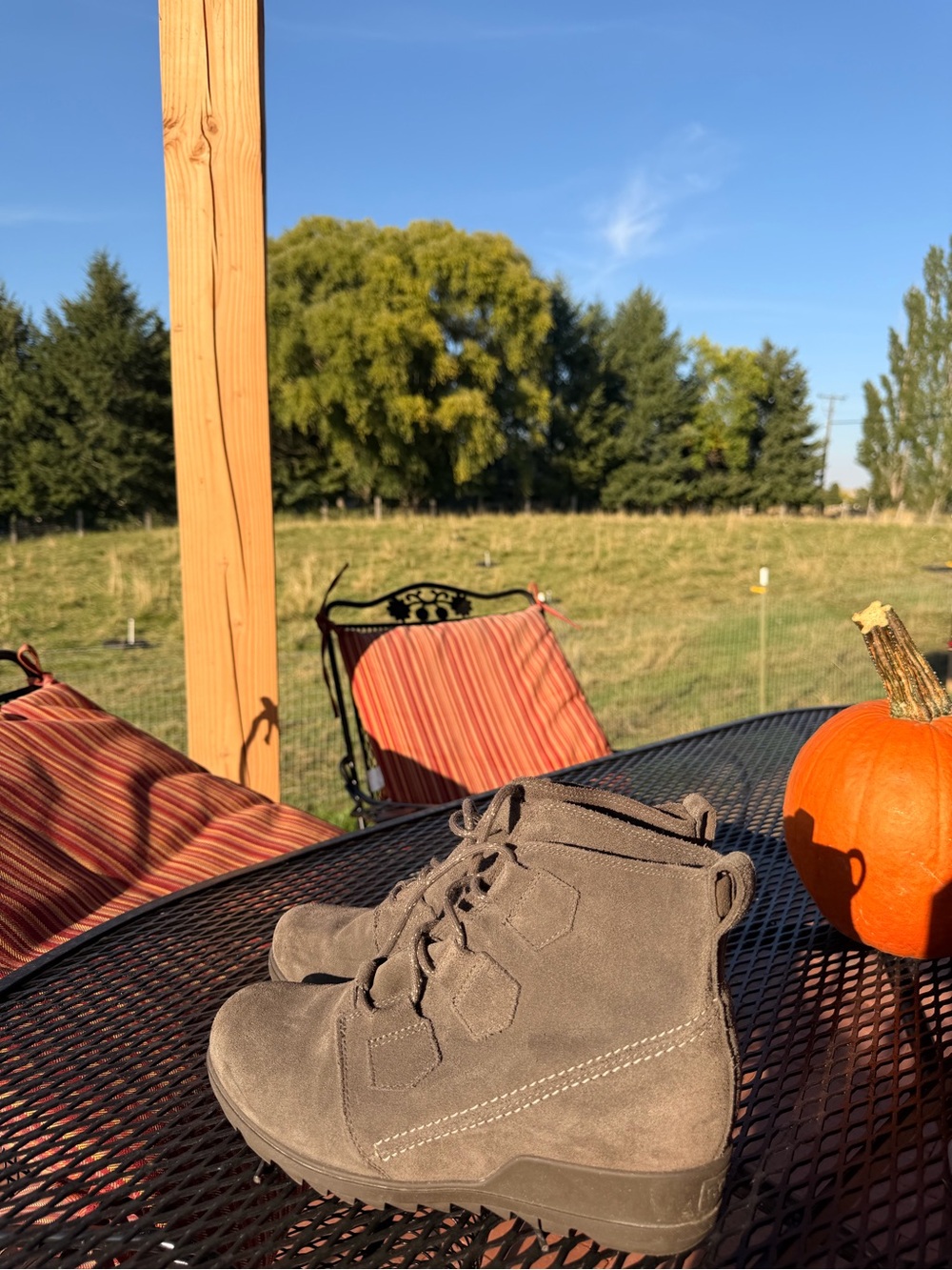 Sorel Kids Gray Suede Lace-Up Ankle Boots
